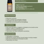 Óleo Essencial Alecrim e Lavanda — imagem 4