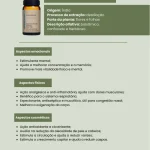 Óleo Essencial Alecrim e Lavanda — imagem 3