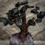 Árvore de Turmalina Negra — imagem 9
