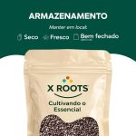 Chia X Roots — imagem 6