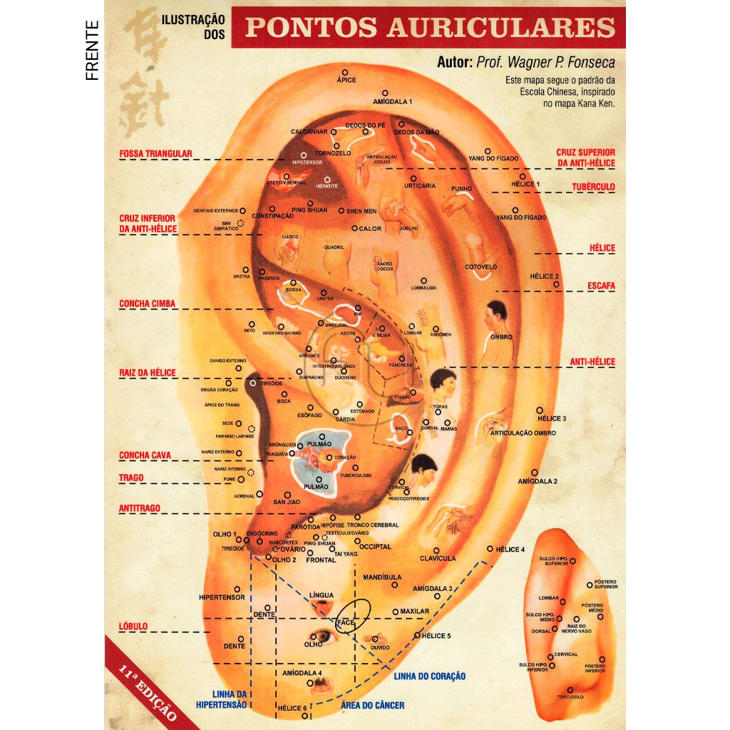 Mapa Auricular de Pontos — Acupuntura A4