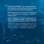 Na Luz dos Xamãs — imagem 2