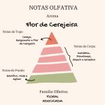 Vela Cerejeira — imagem 4